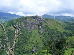 green forested mountains at clouds