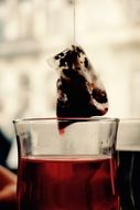 tea bag under tea of glass