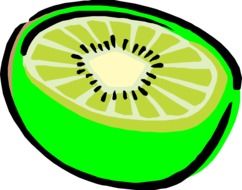 kiwi as a drawing