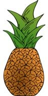 Exotic fresh pineapple clipart