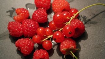 currants and raspberries and berries food