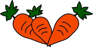 drawing carrots with green leaves