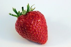 fresh red strawberry