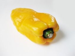 one fresh yellow bell pepper