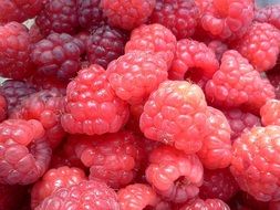 pink raspberry fruit