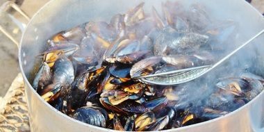 mussels cook