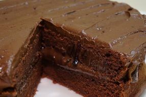 chocolate cake in a cut