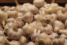 white garlic in a box