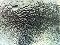 water drops, macro photo