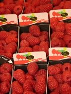 raspberries in trays on the market