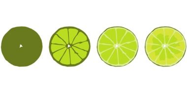 lime citrus drawing