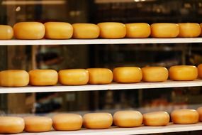 cheese circle