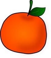 graphic image of bright orange mandarin