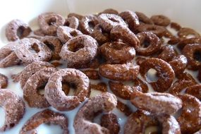 chocolate rings in milk