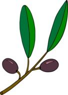 green leaves with berries vector icon