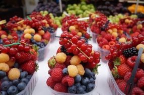 colorful berries in boxes on market display