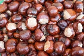 lots of sweet brown chestnuts