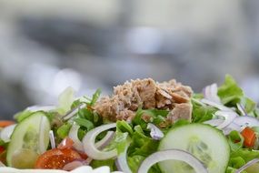 healthy tuna salad