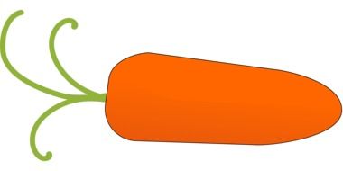 bright orange carrot as an illustration