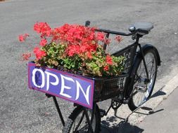 bike with flowers and inscription open on a street