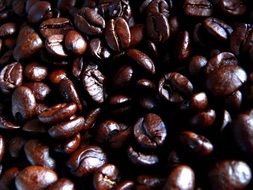 tasty coffee beans