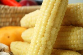 boiled corn cob