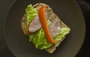 sandwich sausage and salad