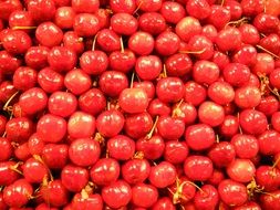 tomato cherry market