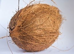 dried coconut