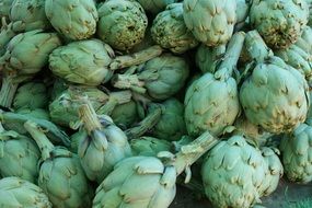 green artichokes on the market close-up