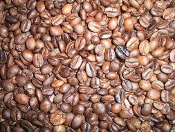 A lot of Brown coffee beans