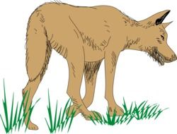 wolf animal hunting vector drawing