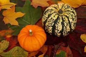 orange and striped pumpkins