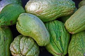 green chayote shu