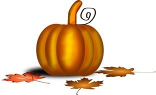 pumpkin thanksgiving decoration vector drawing