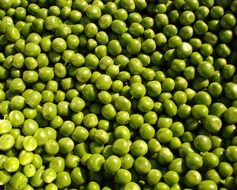 fresh green peas for soup