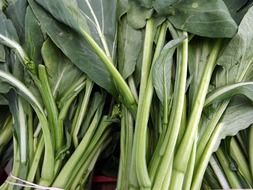 green vegetables tops