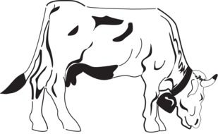 Cow on the grazing clipart