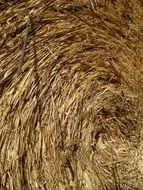 a stack of hay