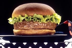 hamburger with lettuce close up