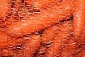 carrots vegetables in the net