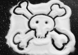 salt skull