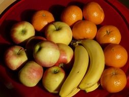 Bowl of different fruits