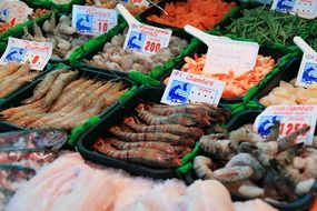 seafood for sale on the market