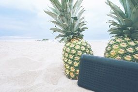 two pineapples on beach sand close-up
