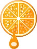 drawing of juicy fresh orange fruit in cut