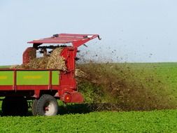 tractor fertilizes the fields