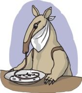 anteater eating