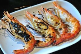 grilled big shrimp