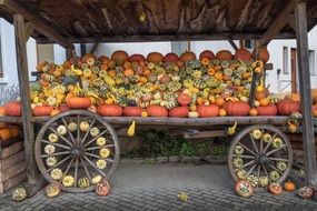 pumpkins on a wooden cart